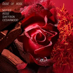 Dose Of Rose