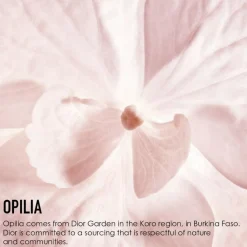 Dreamskin 1-Minute Mask