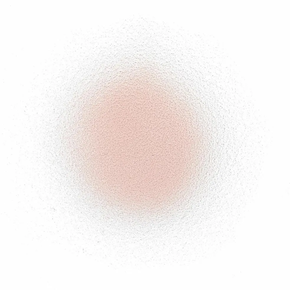 Dry Shampoo Dark Tones