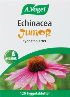 Echinacea Junior