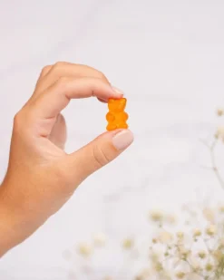 Electrolyte Balance Salted Lemon