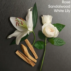 Eternity Eau de Parfum for Women