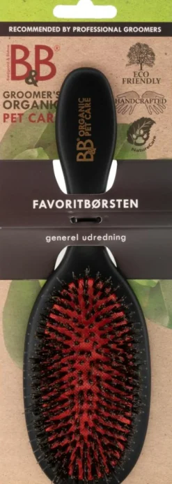 Favoritbørste