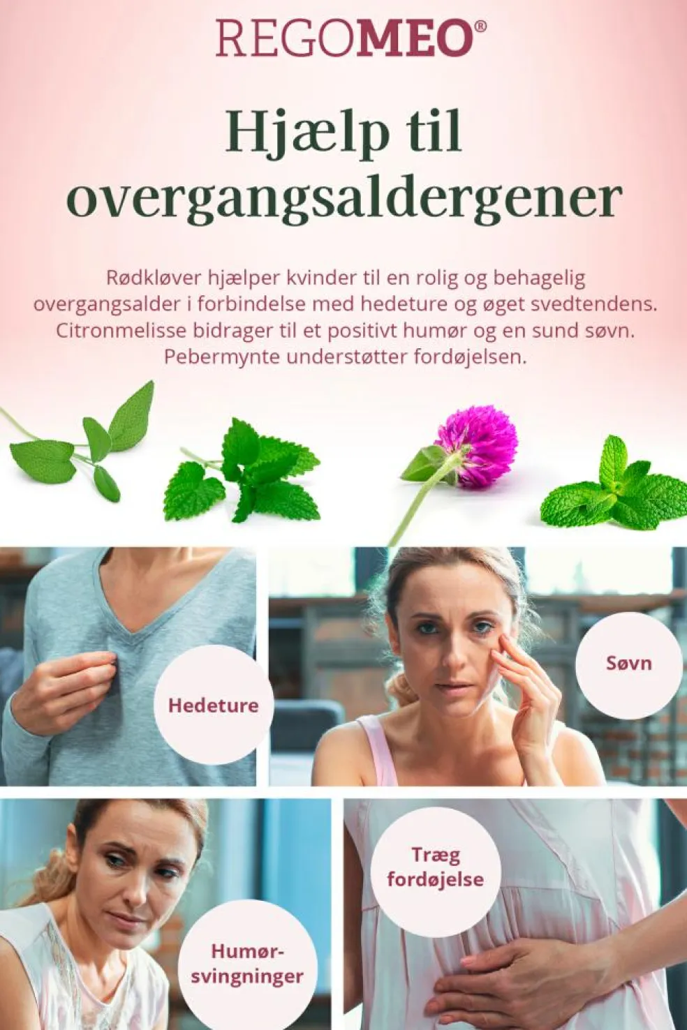 Fermenteret Rødkløverekstrakt