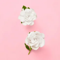 Flora Gorgeous Gardenia Eau de Parfum