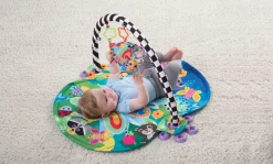 Freddie The Firefly Gym