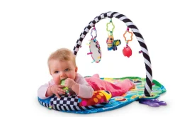 Freddie The Firefly Gym