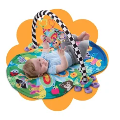 Freddie The Firefly Gym