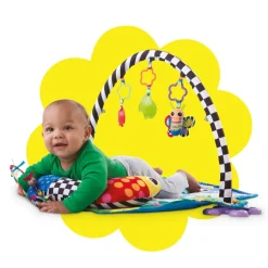 Freddie The Firefly Gym