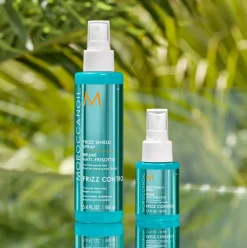 Frizz Shield Spray