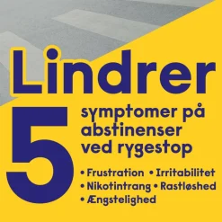 Fruit Tyggegummi 2 mg