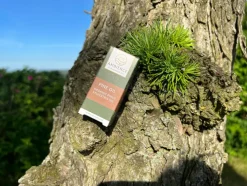 Fyrretræ Olie Økologisk