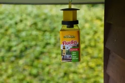 Genopfyldelig fluefælde, inkl. lokkem.