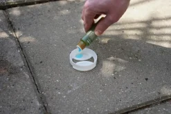 Genopfyldelig myrelokkedåse