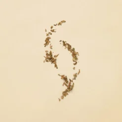 Guilty Pour Femme Eau de Toilette