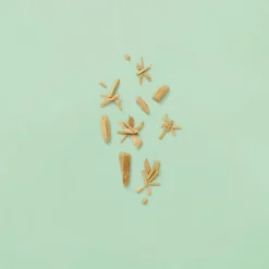 Guilty Pour Homme Eau de Parfum for Men