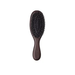 Hair Brush Everyday