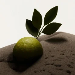 Hero Eau de Toilette for Men