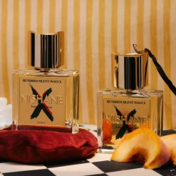 Hundred Silent Ways X