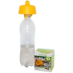 Hvepsefælde Trapcap