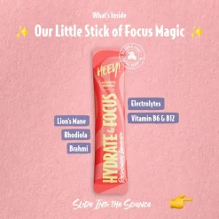 Hydrate & Focus Electrolytes + Lions Mane