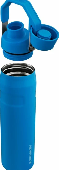 IceFlow Water Bottle Fast Flow 0,6 L