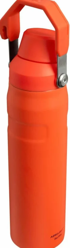 IceFlow Water Bottle Fast Flow 0,6 L