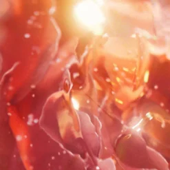 Idôle Now Eau de Parfum