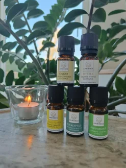 Ingefær Olie Økologisk