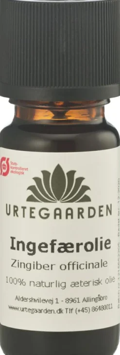 Ingefærolie Æterisk Ø