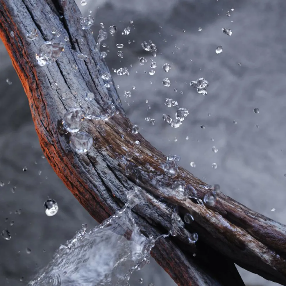 Invictus Deodorant Spray