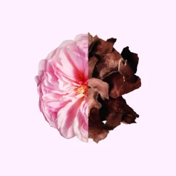 Irresistible Eau de Parfum