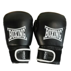 Junior Boksesæt (Handsker + Boksepude)