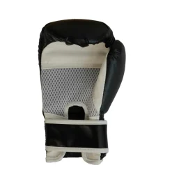 Junior Boksesæt (Handsker + Boksepude)