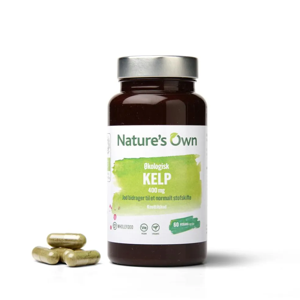 Økologisk Kelp
