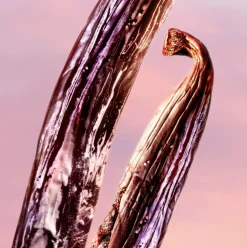 La Vie Est Belle Vanille Nude Eau de Parfum