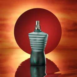 Le Male Eau de Toilette