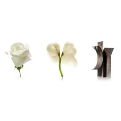 L'Eau D'Issey Eau de Toilette