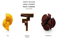 L'Eau D'Issey Pour Homme Eau de Toilette