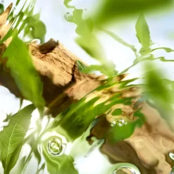 Les O Off Now Eau de Toilette