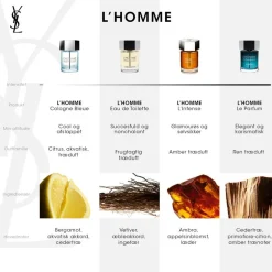 L'Homme Cologne Eau de Toilette