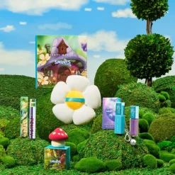 Limited Edition Smurf Mushroom Sponge