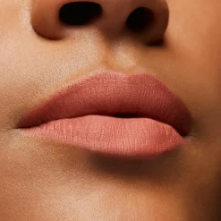 Locked Kiss Ink Lipcolour