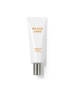 Luminizing Primer
