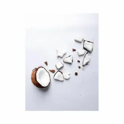 Mallowsmooth Conditioner