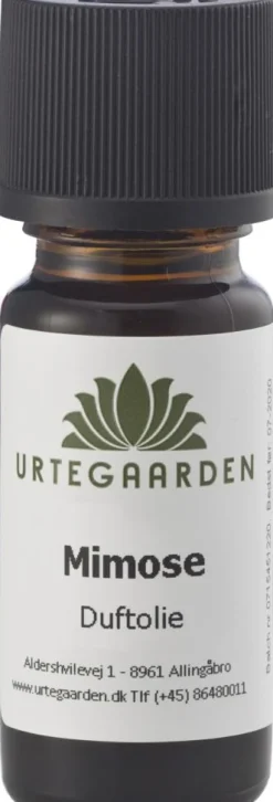 Mimose Duftolie