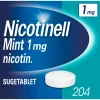 Mint Sugetablet 1 mg