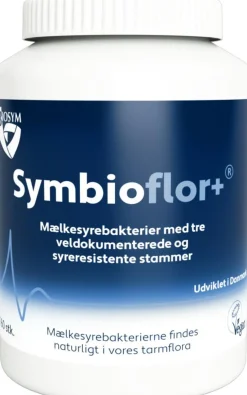 Mælkesyrebakterier