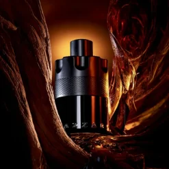 Most Wanted Eau de Parfum Intense