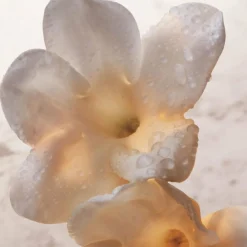 Olympea Deodorant Spray